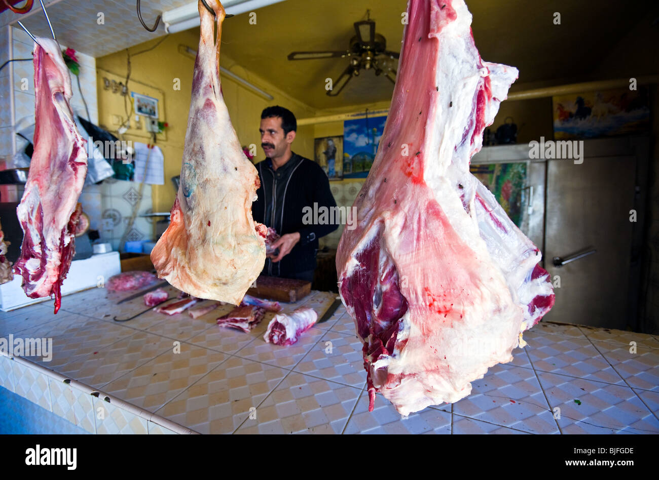 Il Sahara occidentale, Dakhla, carne di cammello nel mercato. Foto Stock