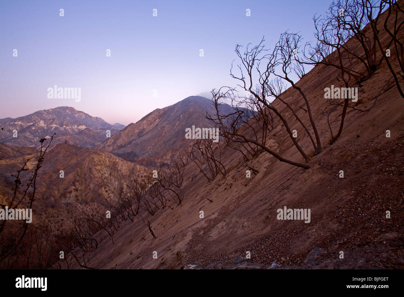 La tattica della terra bruciata e alberi bruciati dalla stazione incendio nel settembre 2009. Angeles National Forest, Los Angeles, California , Stati Uniti Foto Stock