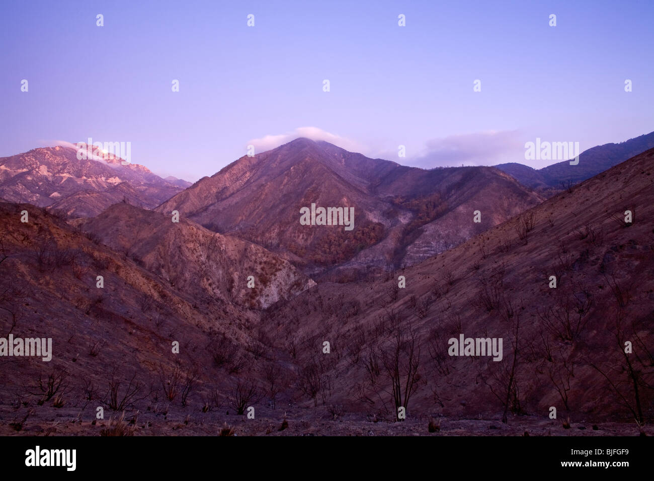 La tattica della terra bruciata e alberi bruciati dalla stazione incendio nel settembre 2009. Angeles National Forest, Los Angeles, California , Stati Uniti Foto Stock