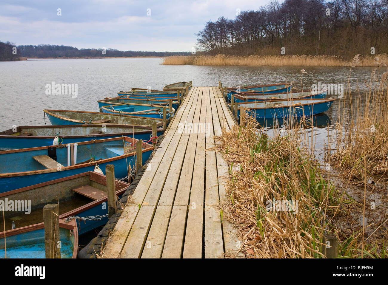 Fase di atterraggio su Ormesby poco ampia, Norfolk, Inghilterra Foto Stock