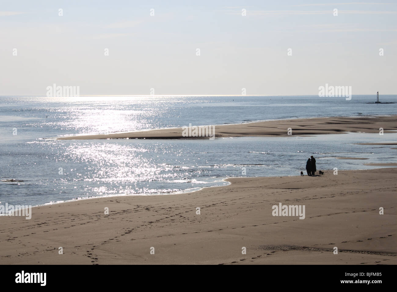 Pochi cani su Barmouth Beach al tramonto, Gwynedd, il Galles del Nord, Regno Unito, Europa Foto Stock