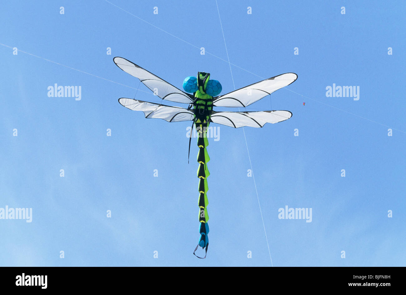Dragonfly figura aquilone vola alto nel cielo Foto Stock