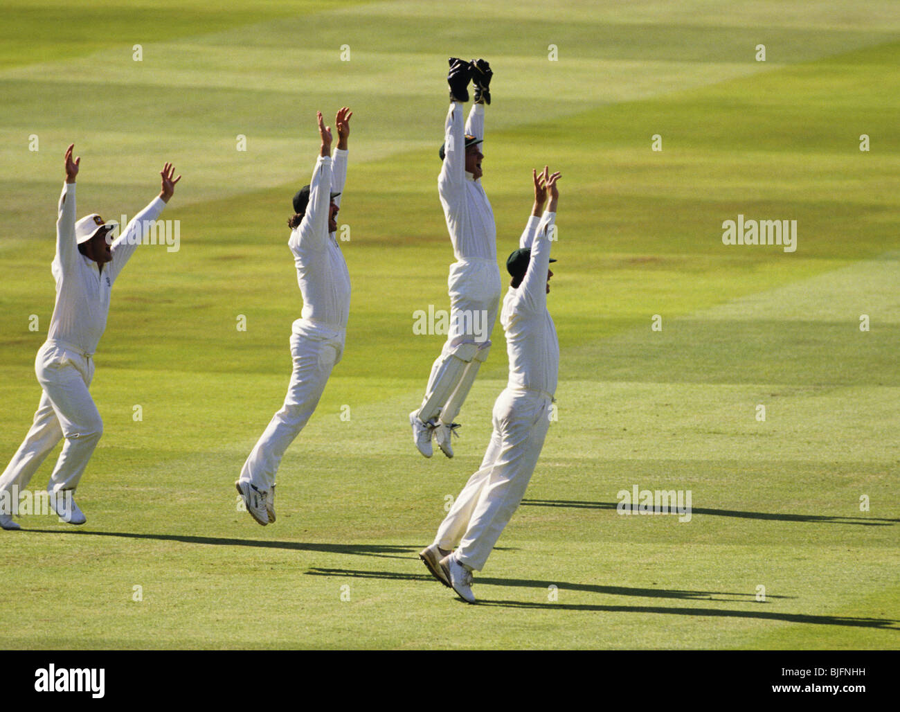 Il Cricketers celebrando Foto Stock