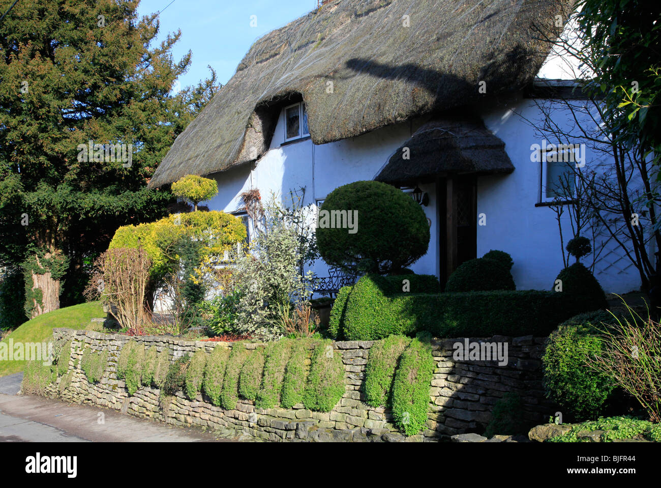 Tipiche tradizionali imbiancati graziosi cottage con tetto in paglia in un villaggio Wiltshire in Inghilterra, Regno Unito Foto Stock