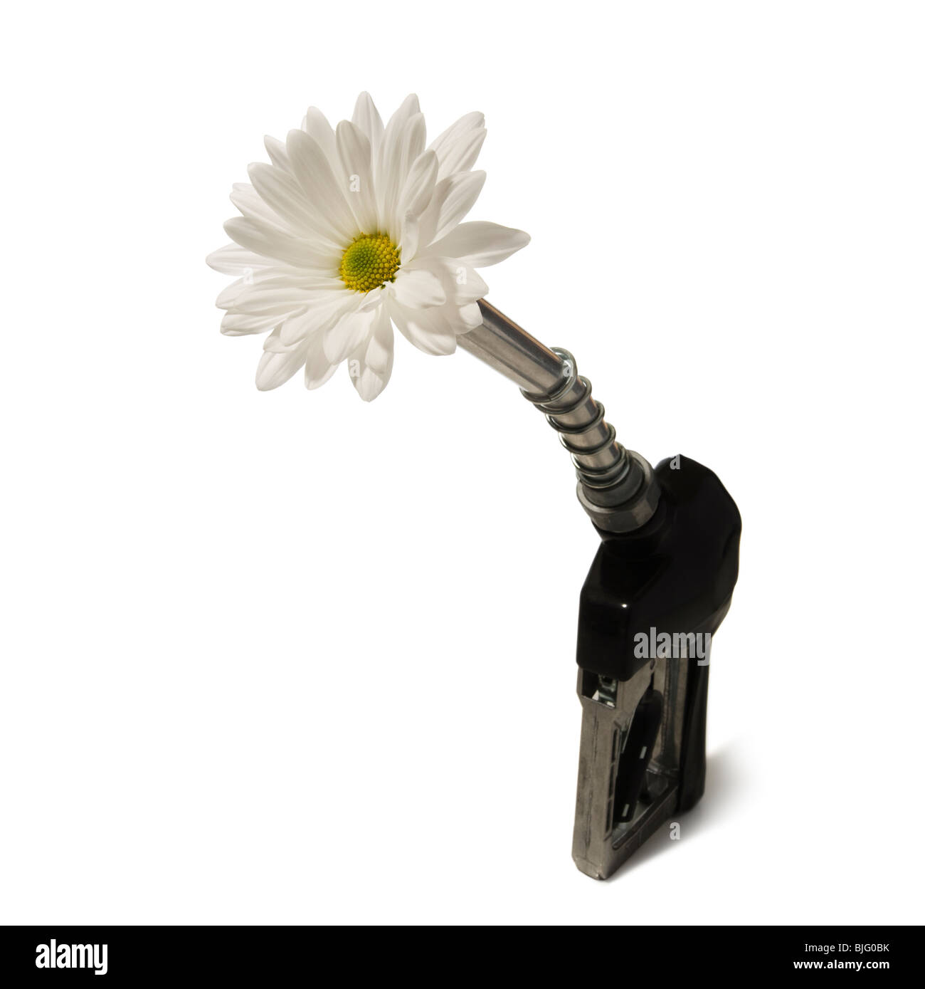Pompa a gas ugello con un fiore che escono da esso Foto Stock