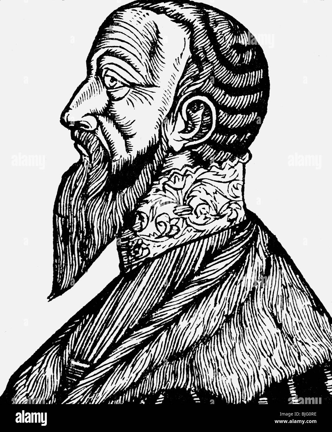 Albert, 17.5.1490 - 20.3.1568, Gran Maestro Dell'Ordine Teutonico 1510 - 1525, Duca di Prussia 1525 - 1568, ritratto, faccia laterale, legno, 16th secolo, , Foto Stock