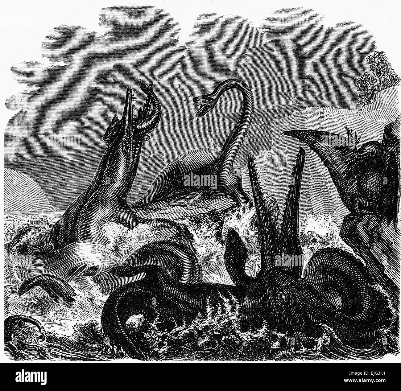 Preistoria, animali, sauri del periodo giurassico, illustrazione, incisione del legno, circa 1870, Foto Stock