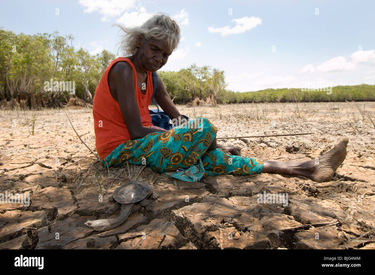 Donna aborigena Judith raccoglie lungo collo a tartaruga per mangiare dal fango appartamenti a Budjanbalmarr vicino a Ramingining. Foto Stock