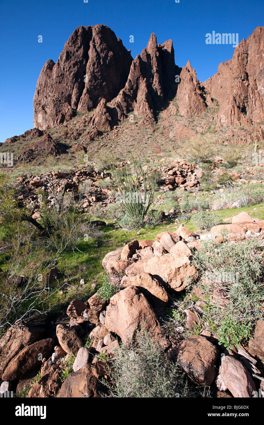 Riolite vulcanica, KOFA Wildlife Refuge, Arizona Foto Stock