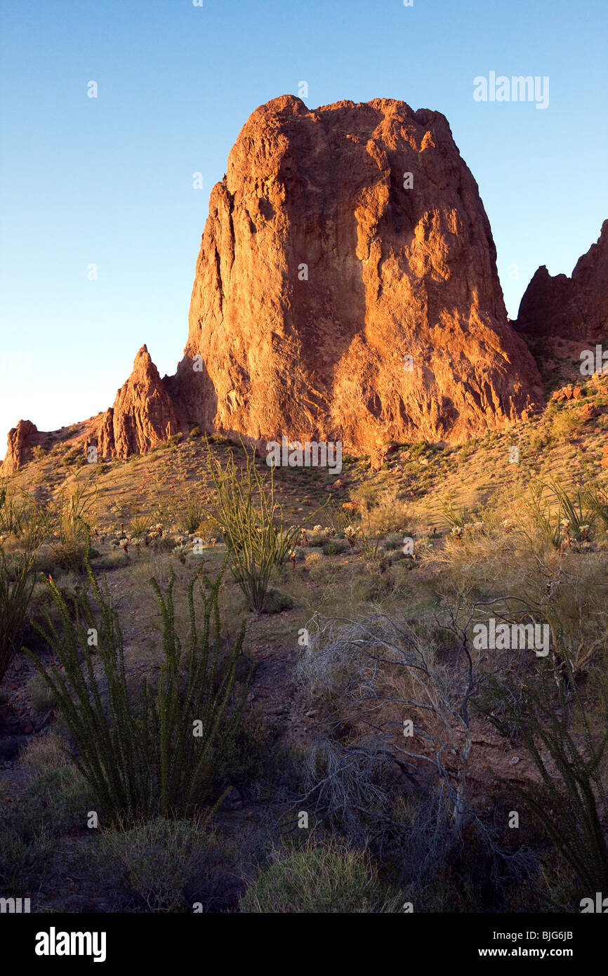 Monolito di roccia, KOFA Wildlife Refuge, Arizona Foto Stock
