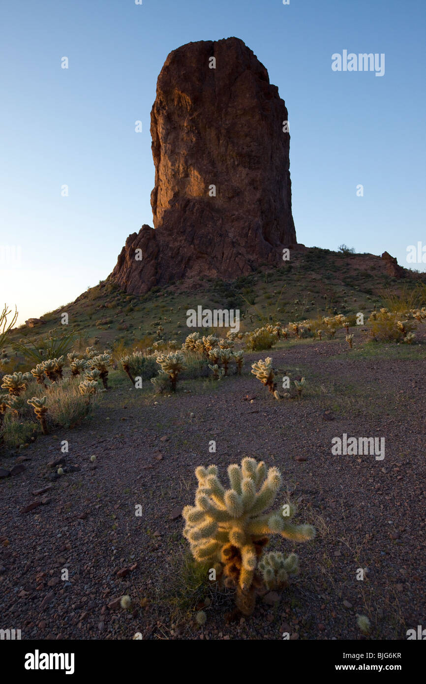 Monolito di roccia, KOFA Wildlife Refuge, Arizona Foto Stock