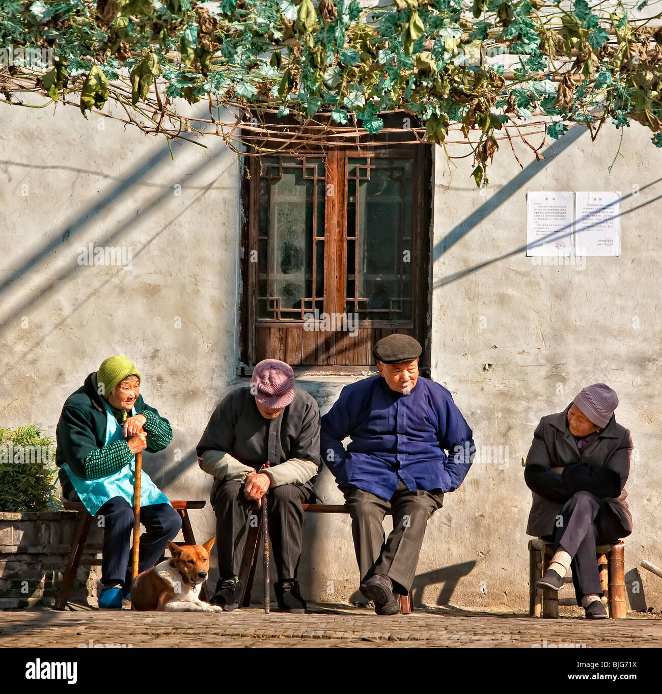4 anziani cinesi seduti e chiacchierare, Xitang, Zhejiang, Cina Foto Stock