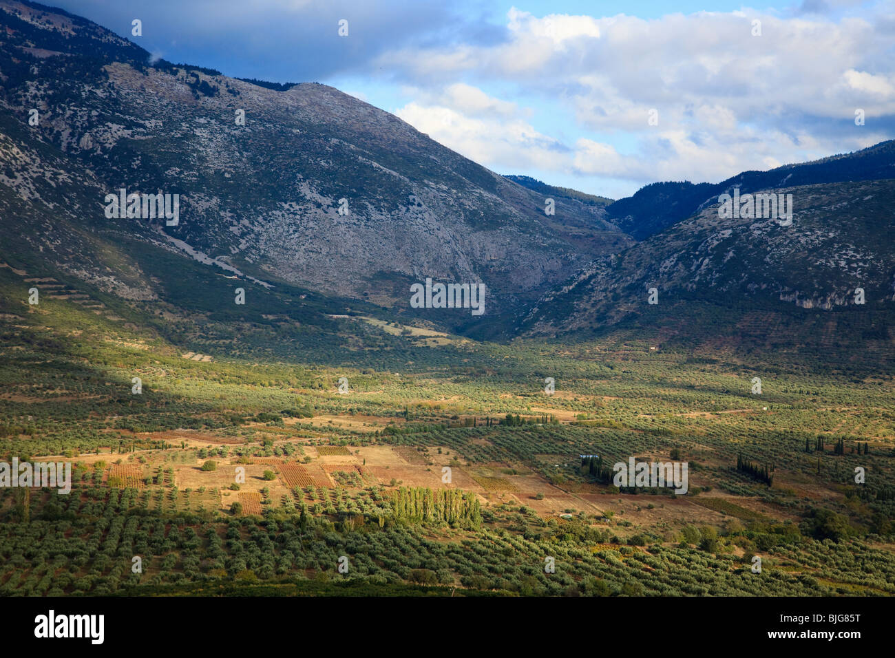 Valley View da Osios Loukas in Grecia. Foto Stock