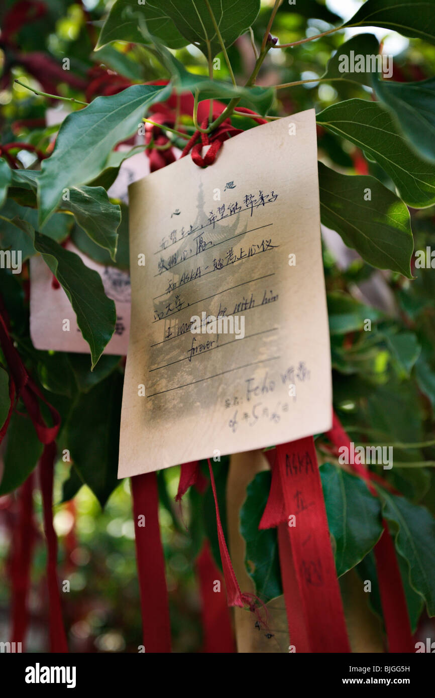 Note riempito con scritto auguri e preghiere in Wen Miao (Tempio confuciano). Shanghai, Cina. Foto Stock