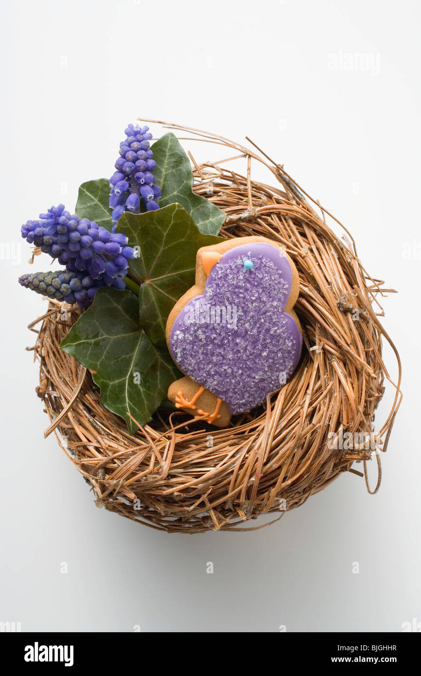Biscotto di pasqua (viola chick) & uva giacinti nel nido di Pasqua - Foto Stock
