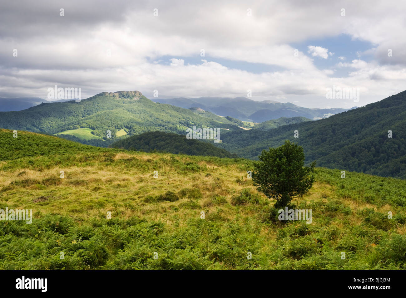 Vista da Zamateluko Gaina, una montagna in spagnolo Pirenei della Navarra, Spagna settentrionale Foto Stock