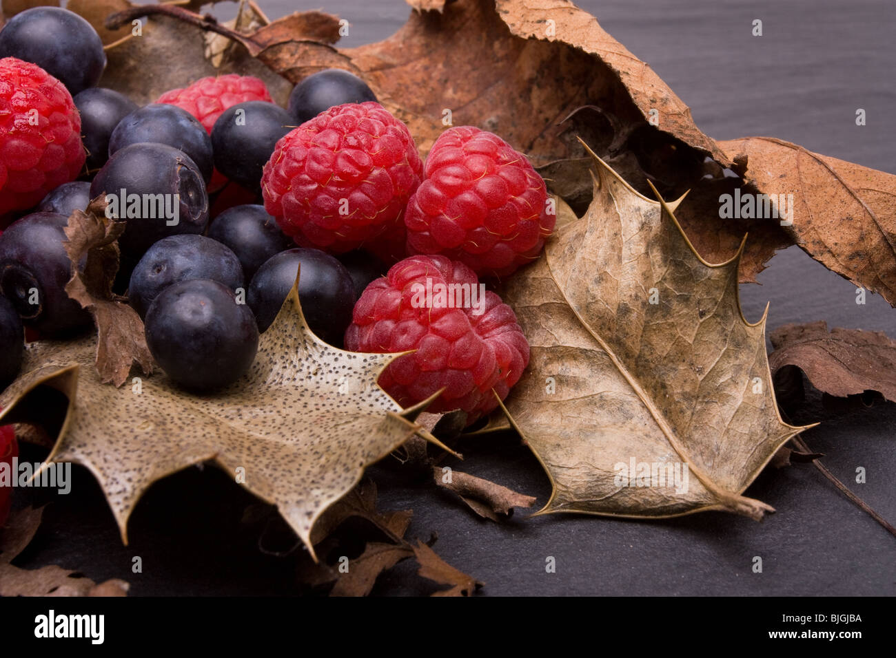 I frutti di bosco di lampone e mirtillo incastonato tra essiccato holly foglie. Foto Stock