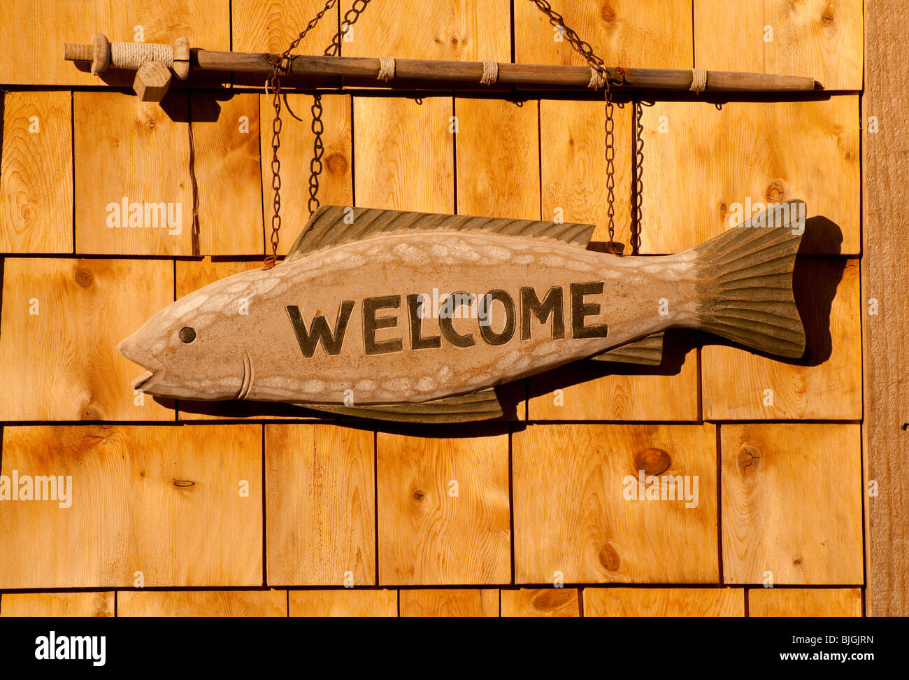 NEW BRUNSWICK, Mirammichi River, salmone atlantico segno di benvenuto appeso sul lodge di pesca in Doaktown. Foto Stock