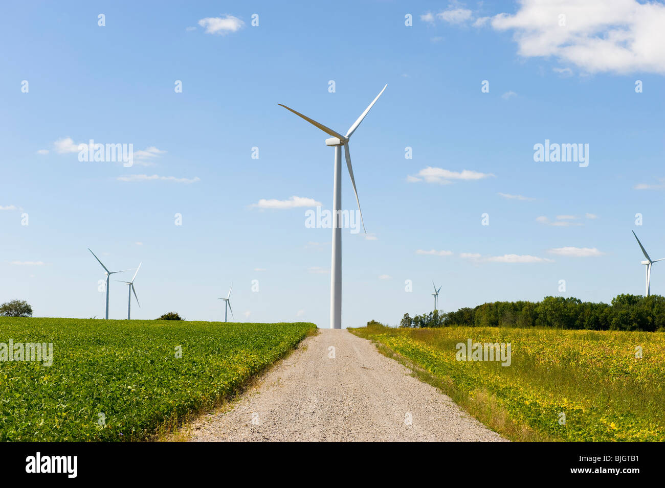 Mulino a vento mulino generare generatore di generazione di equilibrio il conservatorismo conservare ecosistema ecologia ambiente ambientali Amb. Foto Stock