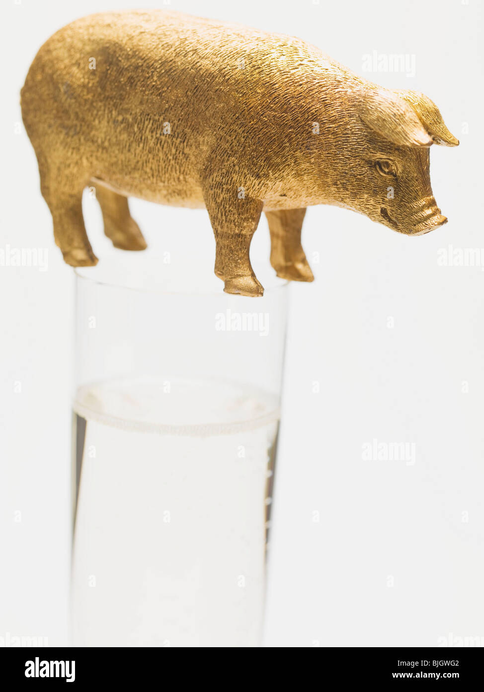 Bicchiere di Prosecco con la fortuna di maiale - Foto Stock