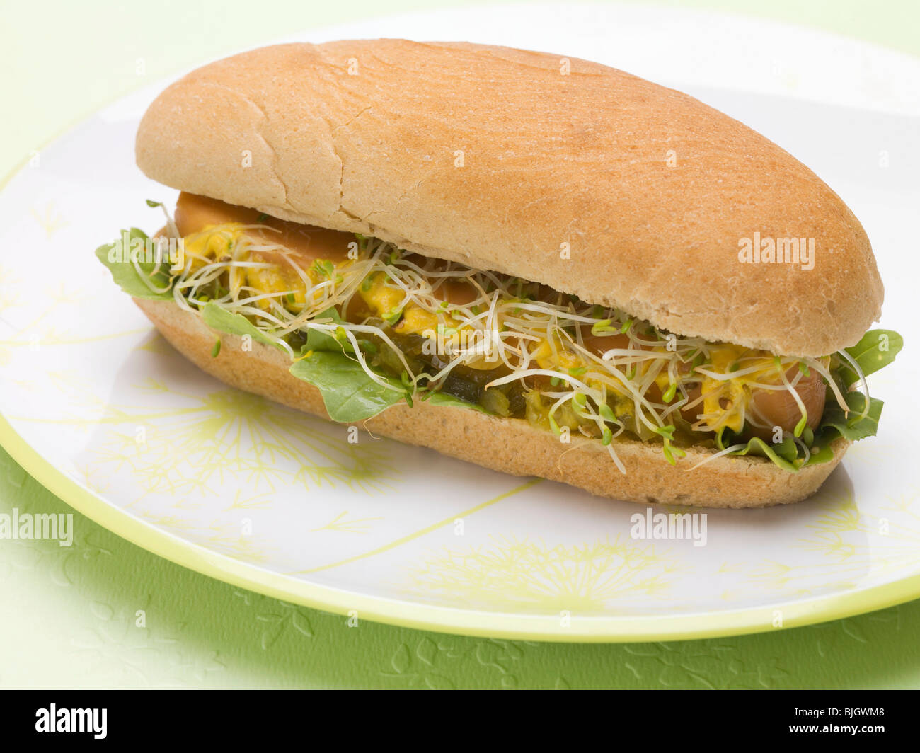 Un hot dog con i germogli su una piastra - Foto Stock