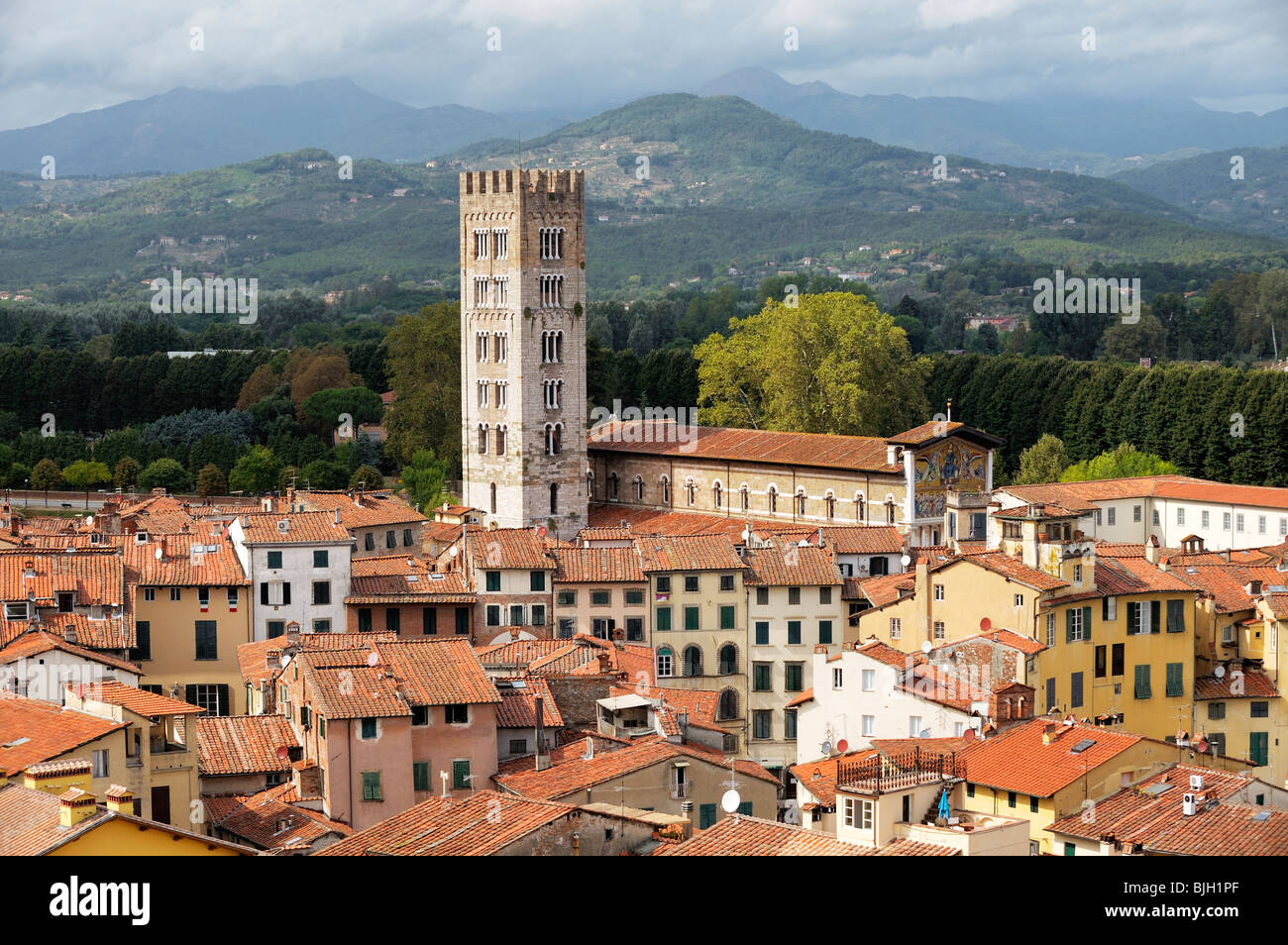 Torre della Basilica di San Frediano sorge sopra la città medievale di Lucca, Toscana, Italia Foto Stock