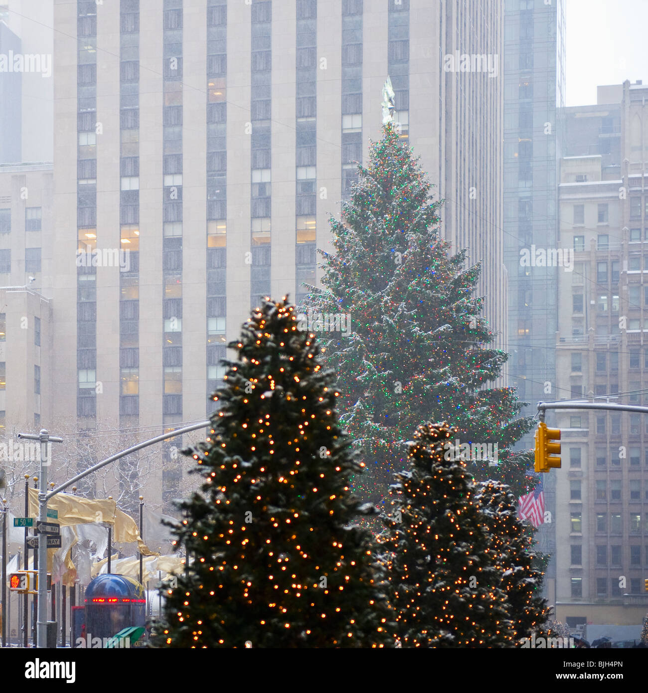 Alberi di Natale nel centro cittadino Foto Stock