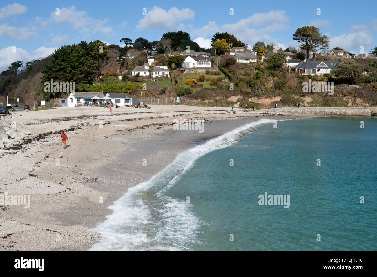Swanpool Beach in Falmouth Cornwall Regno Unito. Foto Stock