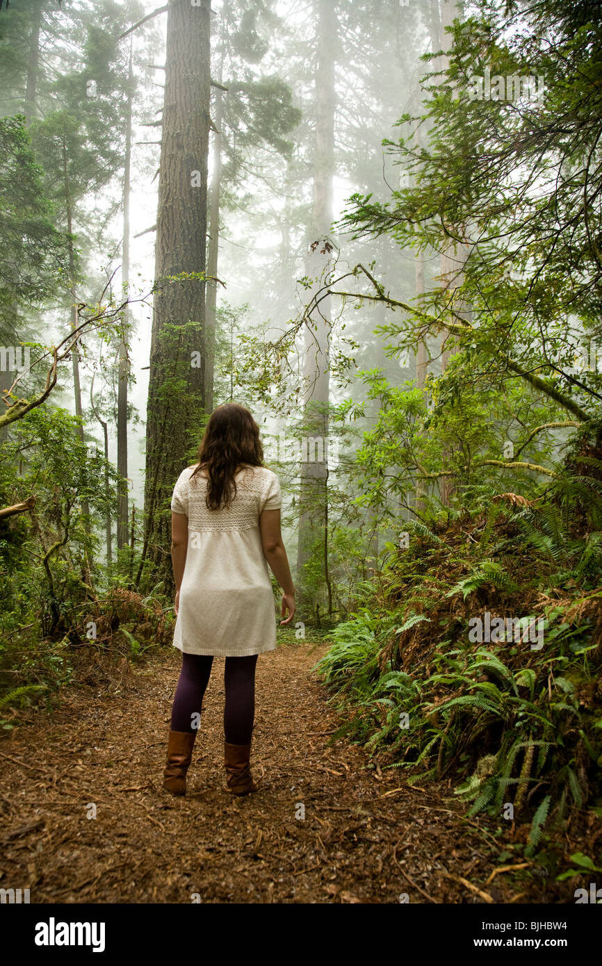 La donna a piedi attraverso una foresta di redwoods gigante Foto Stock