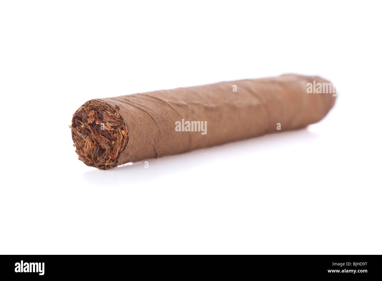 Grande sigaro isolato su uno sfondo bianco Foto Stock