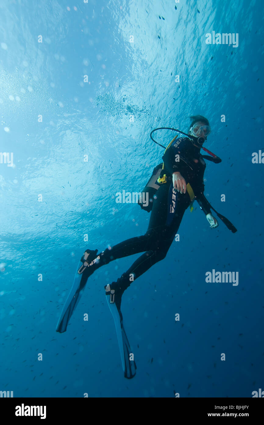 Femmina sub in acque blu Foto Stock