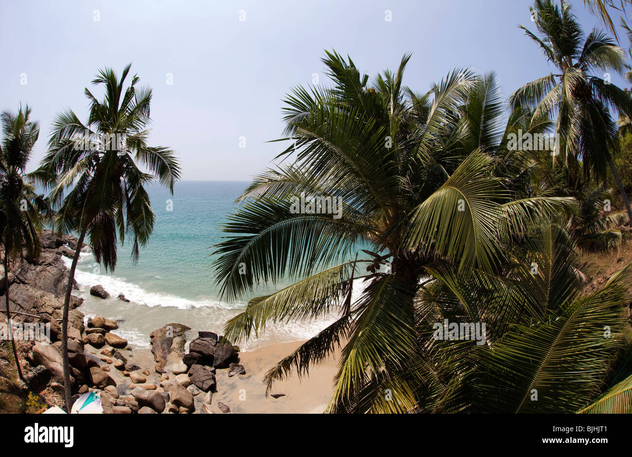 India Kerala, Kovalam, coconut Palm tree orlata appartata baia rocciosa Foto Stock