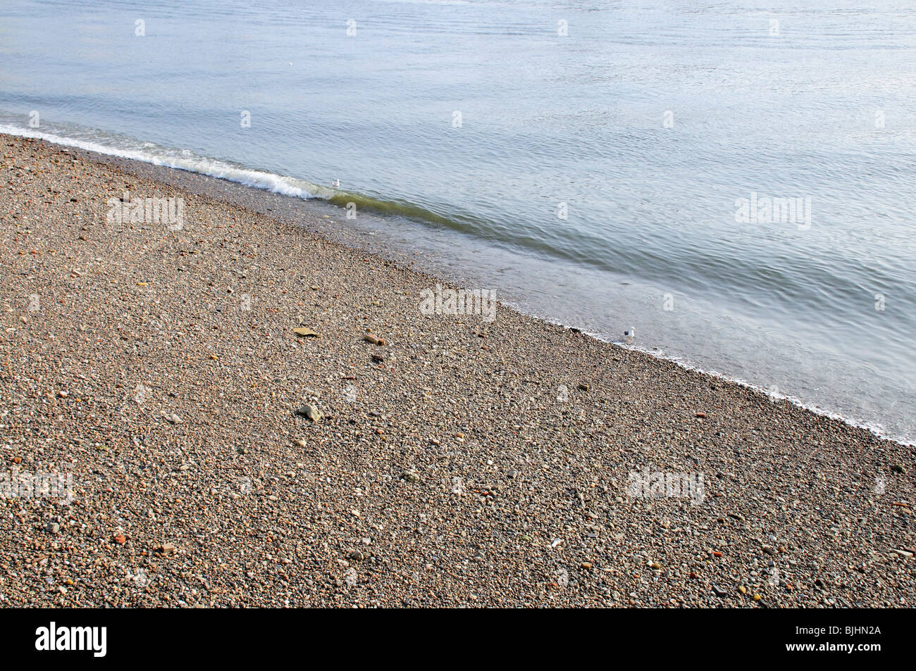 Spiaggia di ghiaia, sulle rive del fiume Tamigi Foto Stock