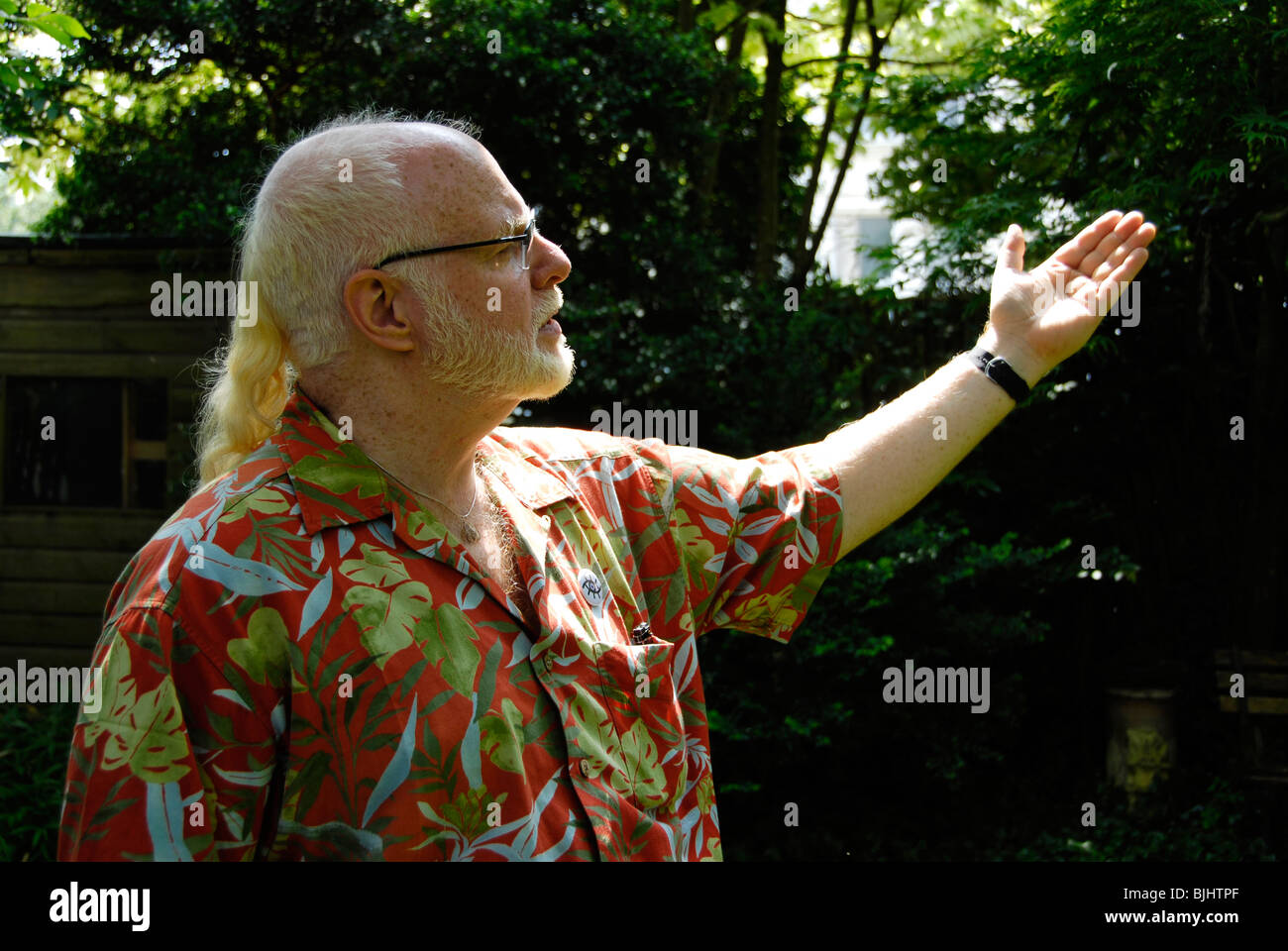 Capelli bianchi gentleman con la barba e coda di cavallo che indossa camicia hawaiana si estende il braccio o le onde nel gesto di amicizia in giardino Foto Stock