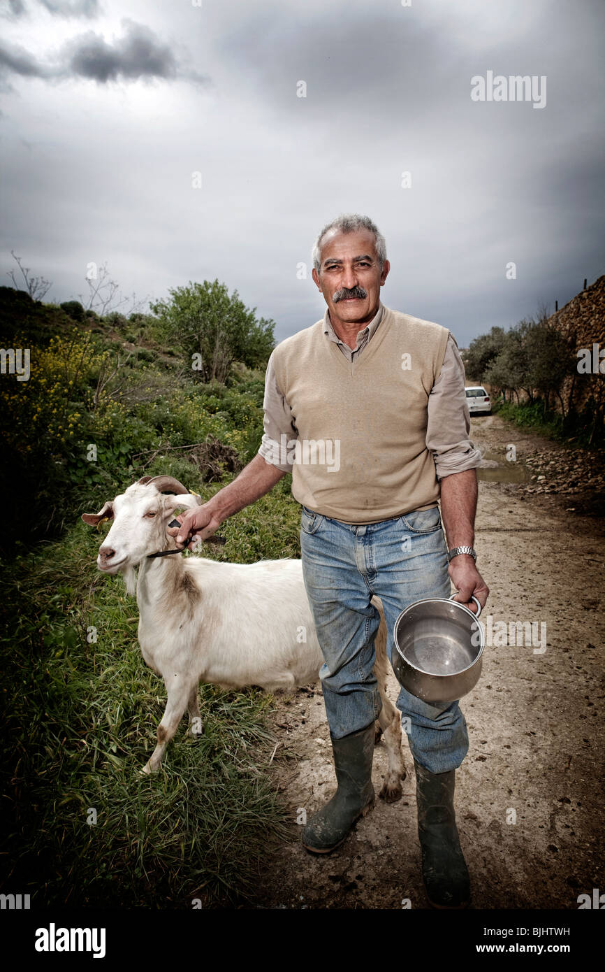 Capre allevamento ovino agricoltore Gozo Malta fattoria maltese Foto Stock
