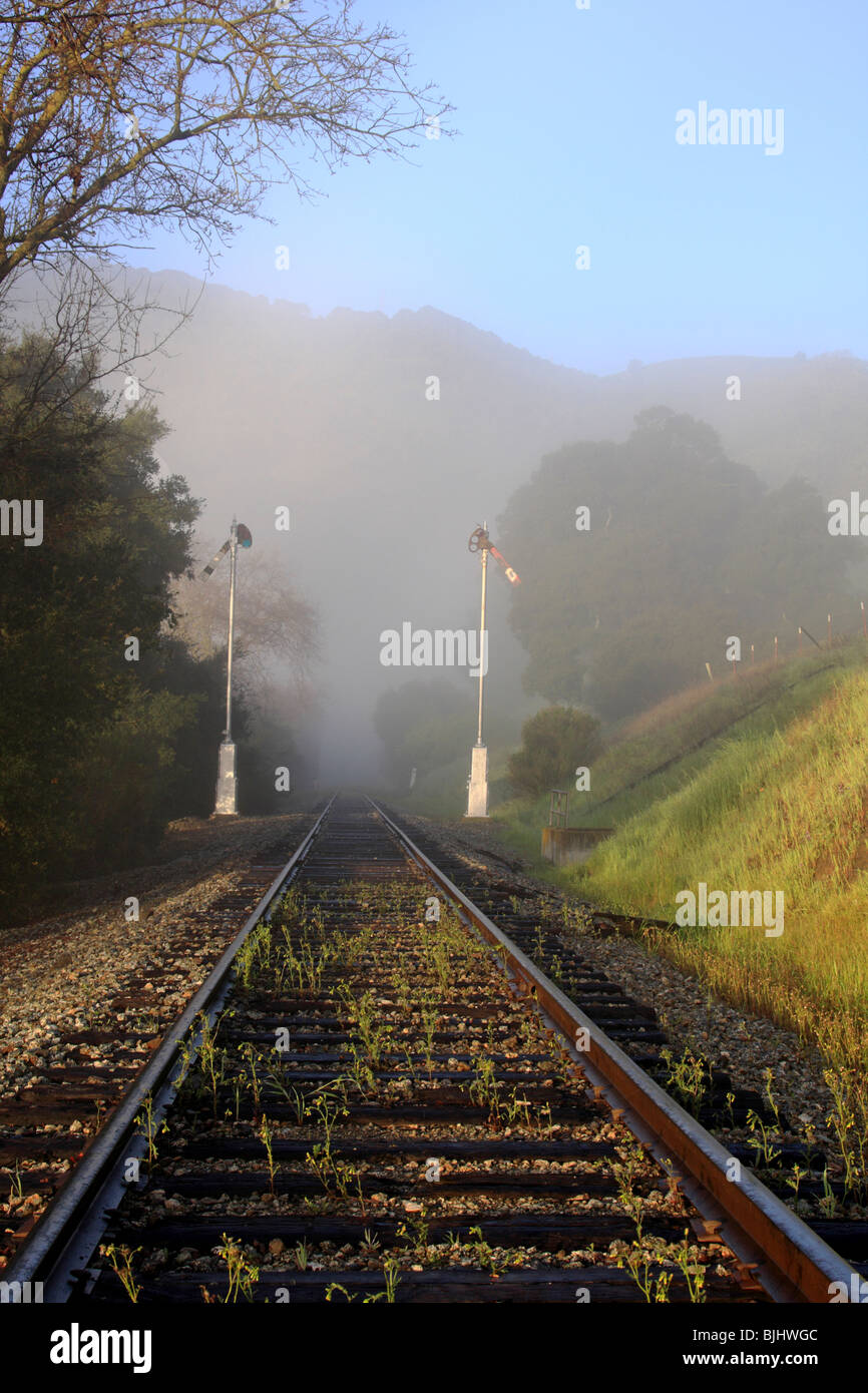 I binari della ferrovia e il segnale i semafori nella nebbia vicino Sunol, California. Foto Stock