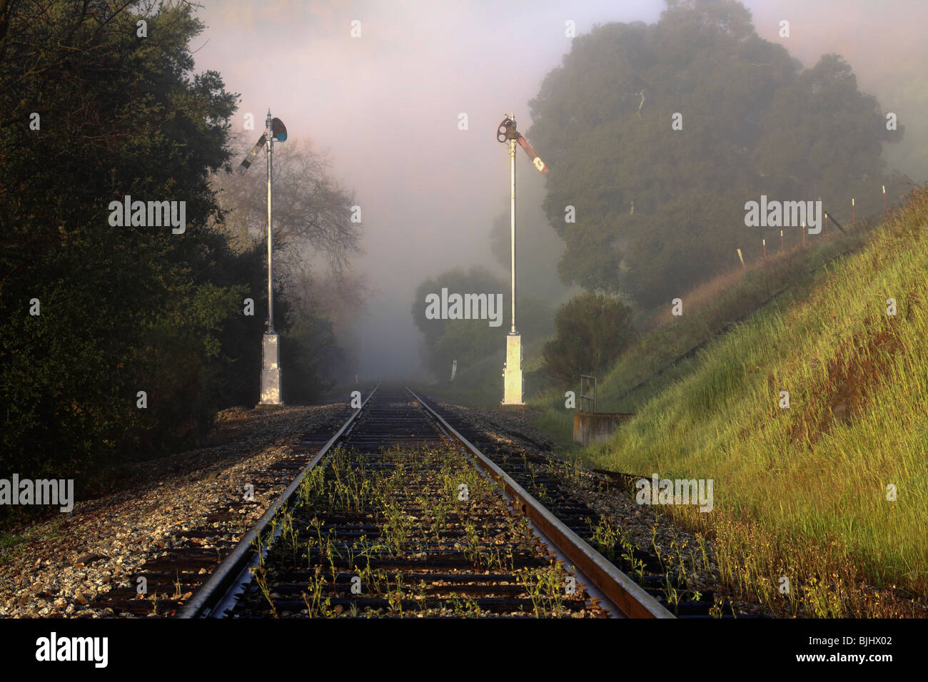 I binari della ferrovia e il segnale i semafori nella nebbia vicino Sunol, California. Foto Stock