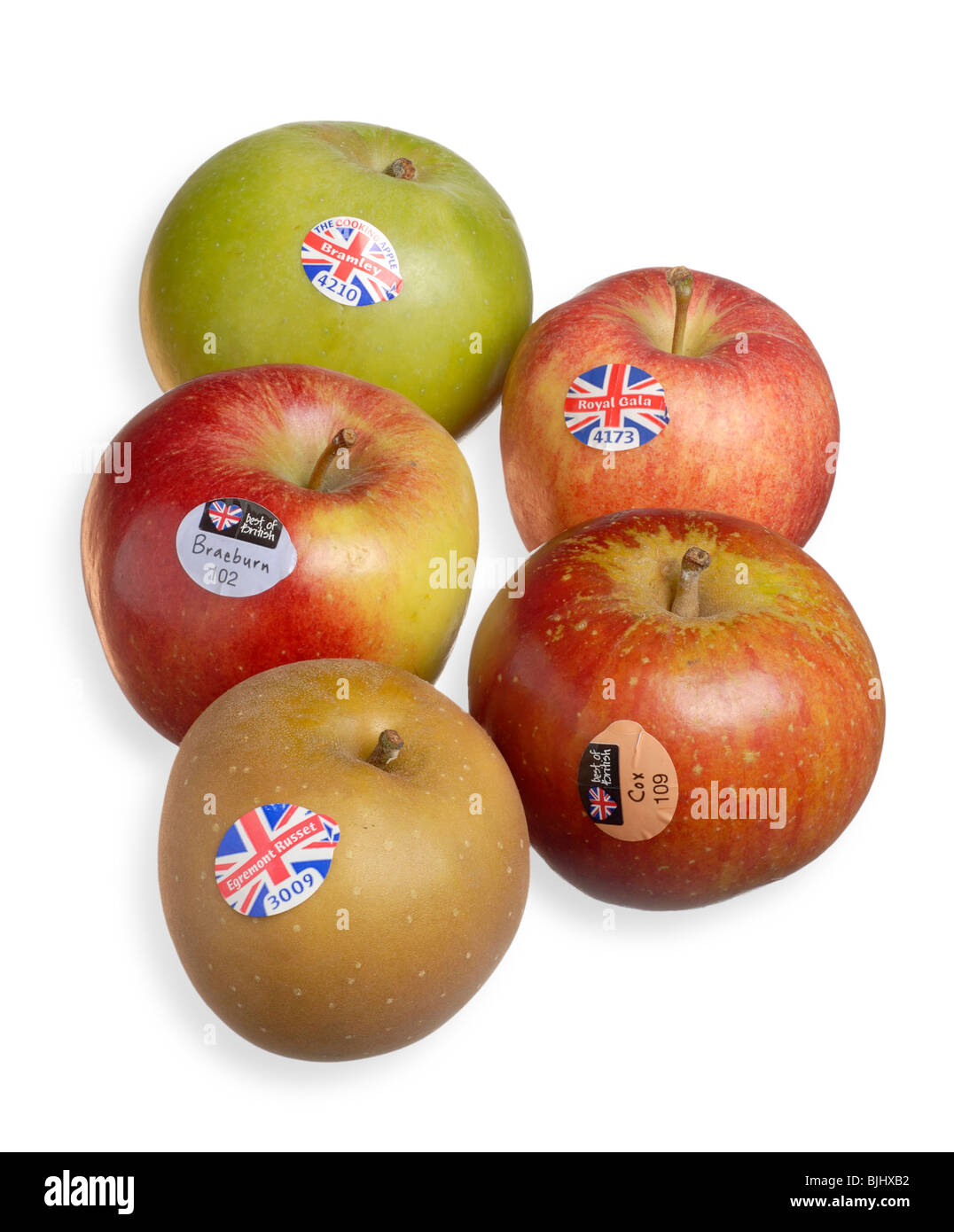 British mele Russet Braeburn Cox Royal Gala Bramley Foto Stock