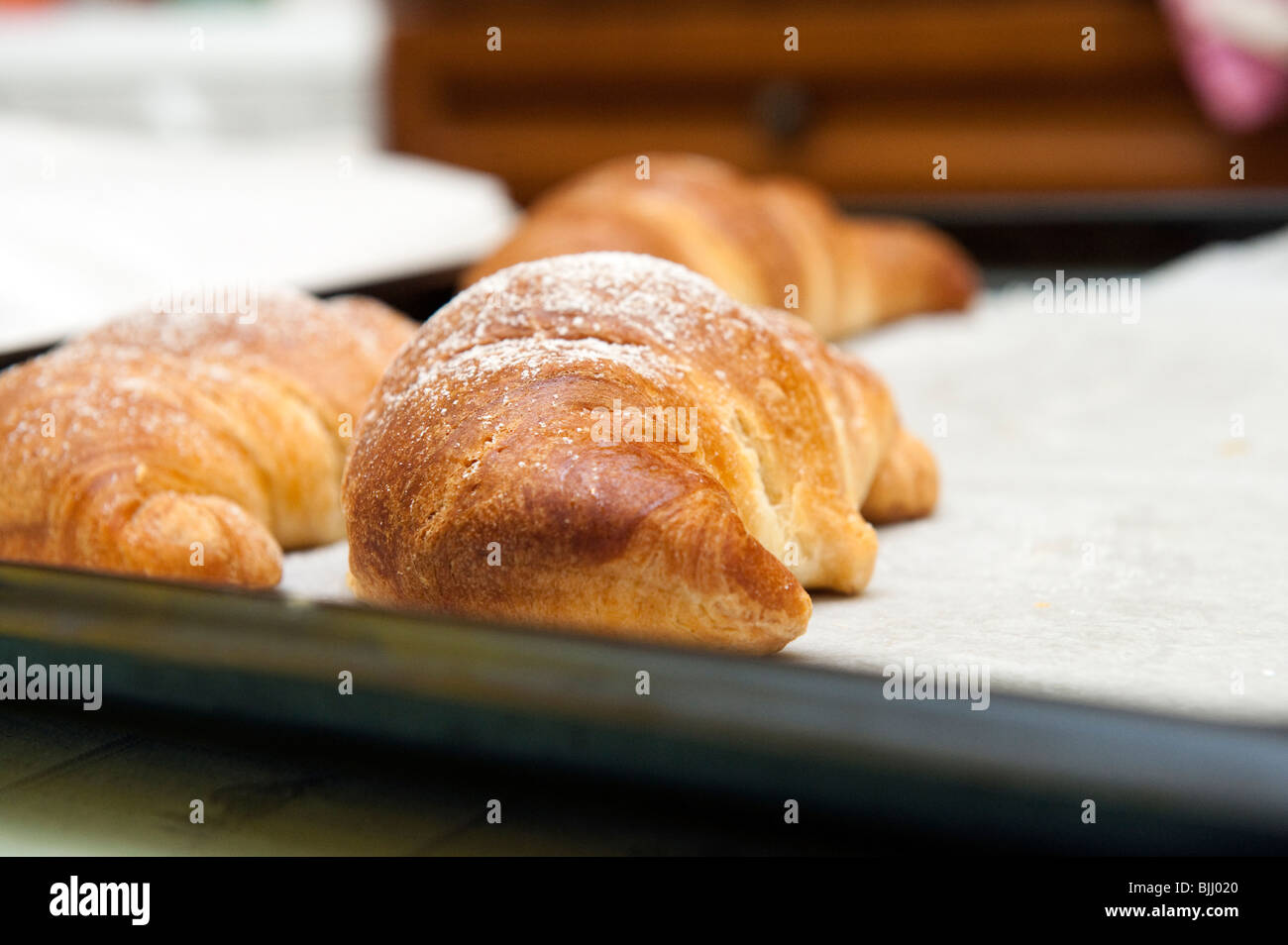 Tortiera con fresco di forno croissant Foto Stock