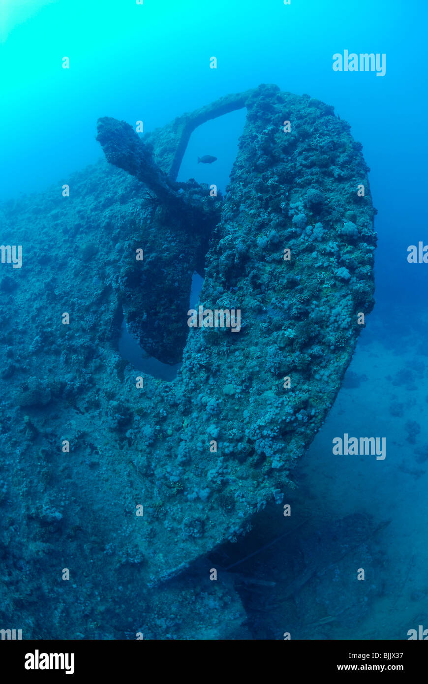 Relitto del Dunraven in Mar Rosso, off costa di Egitto Foto Stock