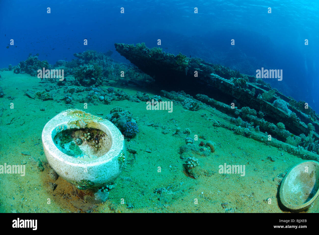 Relitto di Yolanda reef del Mar Rosso, off costa dell'Egitto. Foto Stock