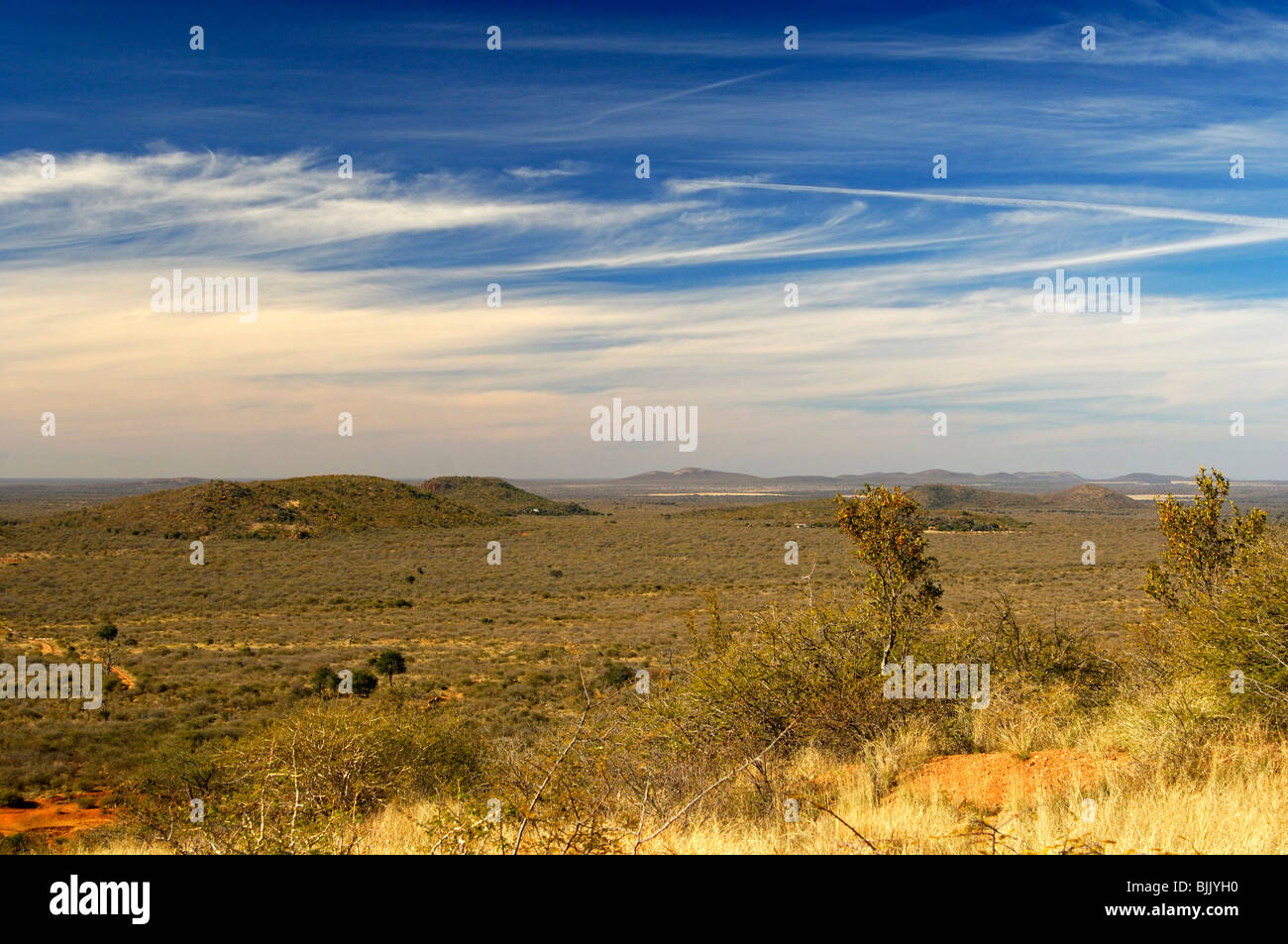 Vista la grande savana africana paesaggio nel Madikwe Game Reserve, Sud Africa e Africa Foto Stock