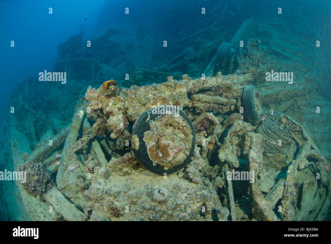 Relitto del Thistelgorm in Mar Rosso, Egitto off. Foto Stock