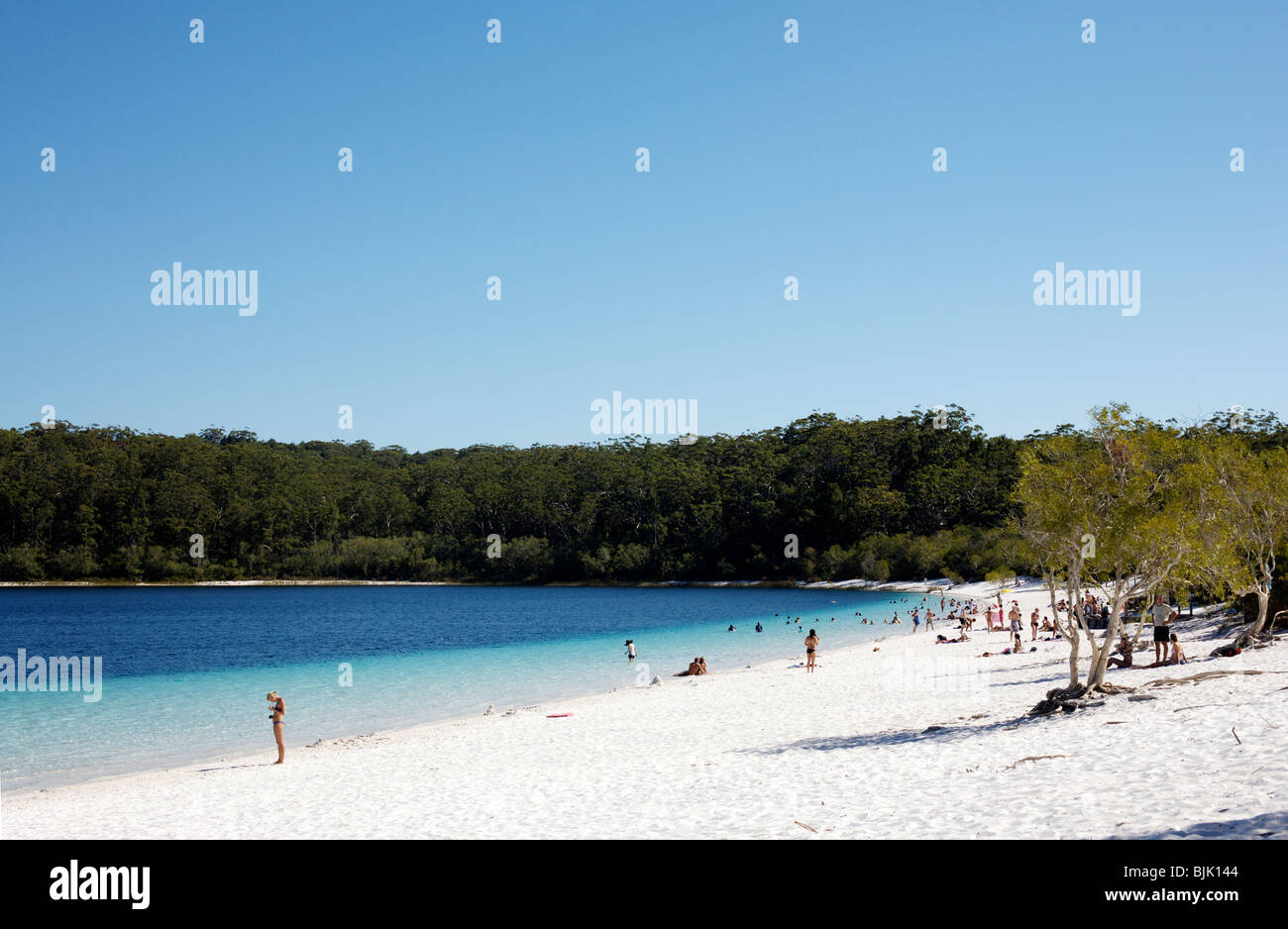 Lago McKenzie su Fraser Island in Australia Foto Stock