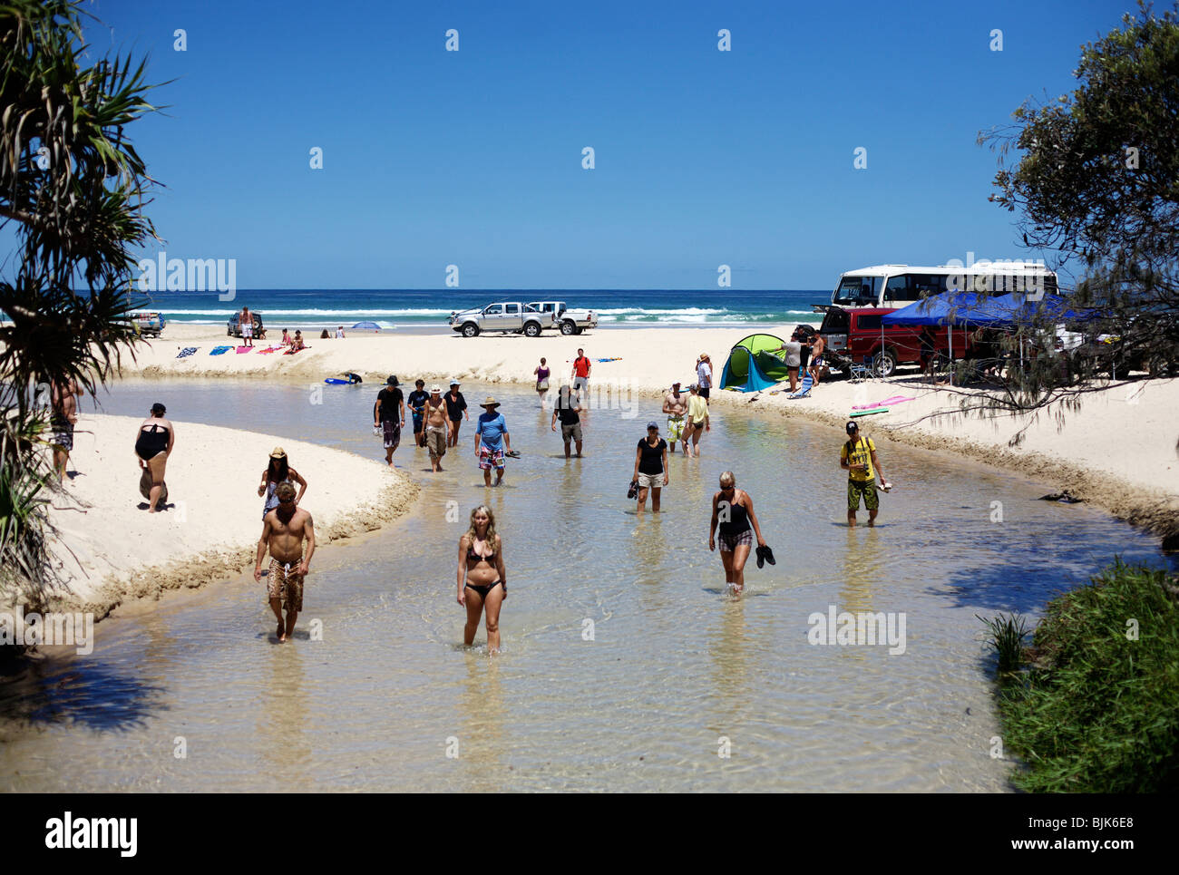 I turisti a piedi fino Eli Creek da 75 miglia di spiaggia su Fraser Island, in Australia Foto Stock