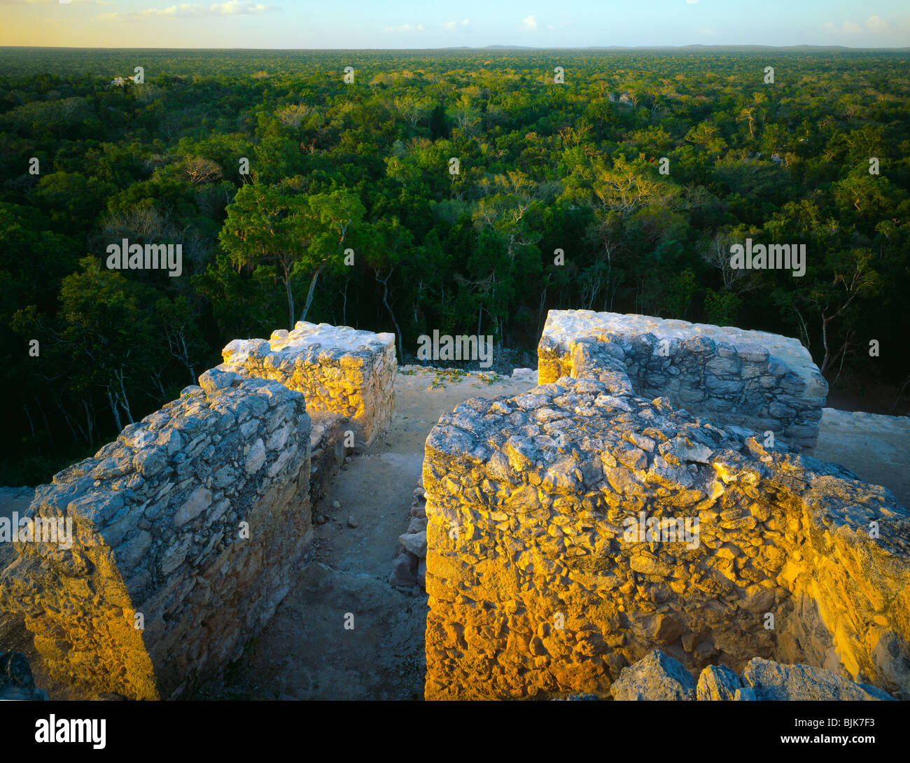 Grande Piramide di Calakmul,(Tempio 2) Calakmul Riserva della Biosfera, Stato di Campeche, Yucatan, Messico, tempio Maya 100-900 d.c. grandi Foto Stock