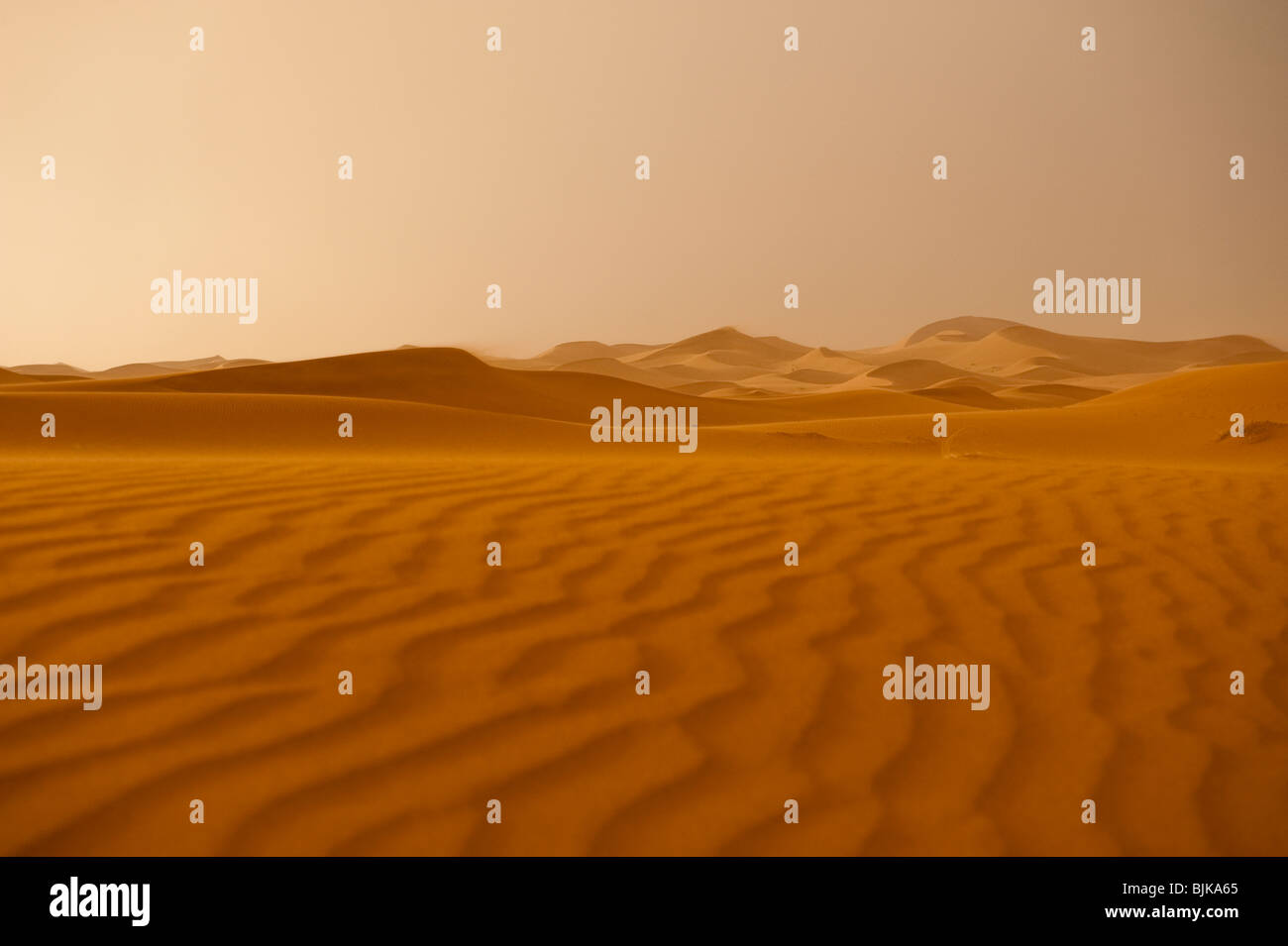 Questa è un immagine di dune di sabbia e le formazioni di sabbia nel Sahara Occidentale deserto. Foto Stock