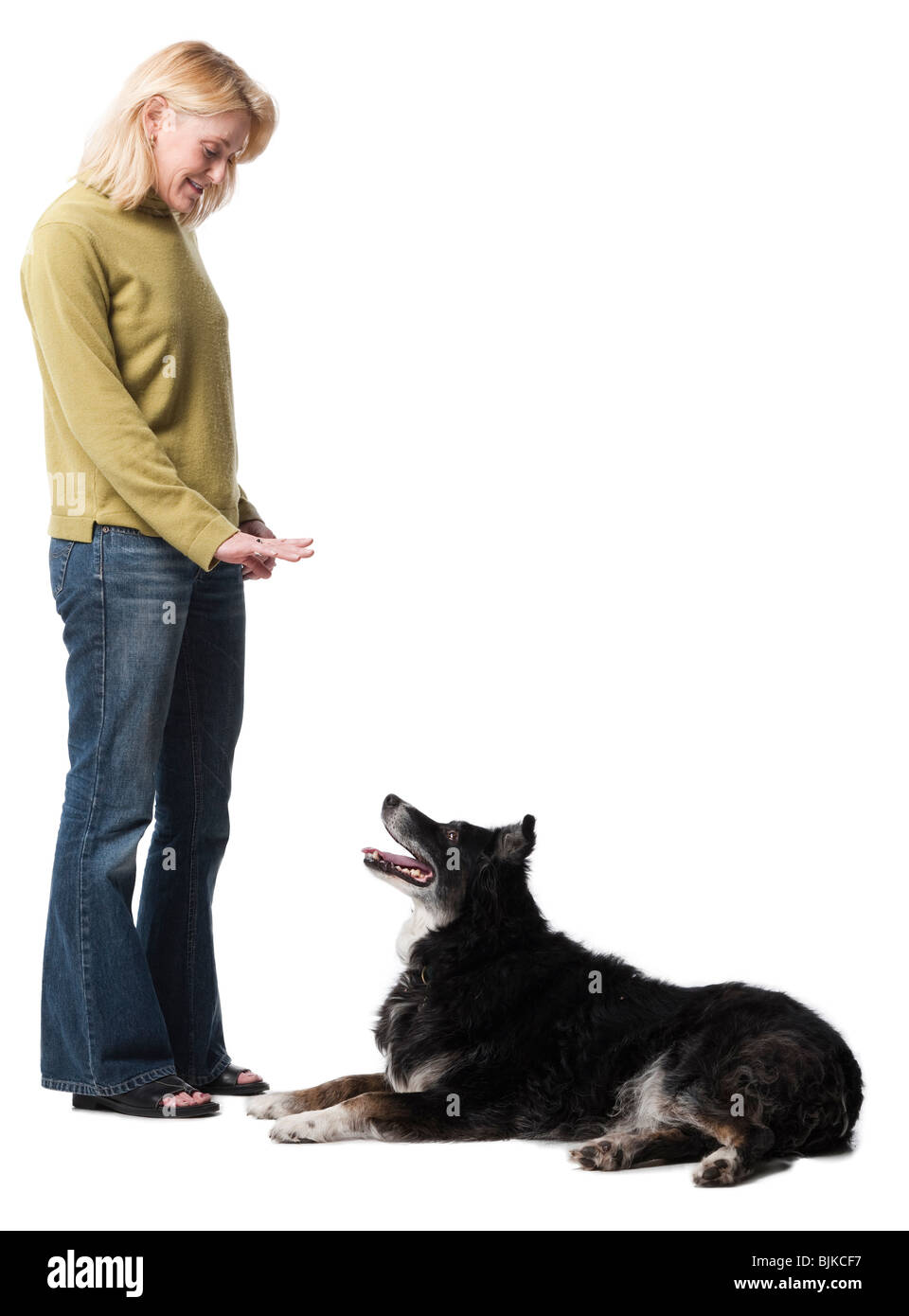 La donna comanda il cane di sedersi Foto Stock