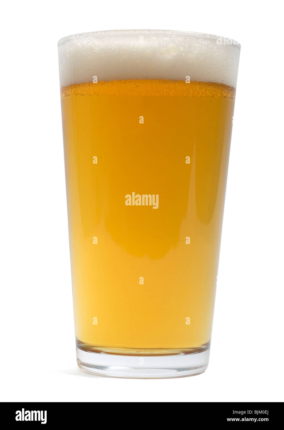 Vetro pinta di birra lager su sfondo bianco Foto Stock
