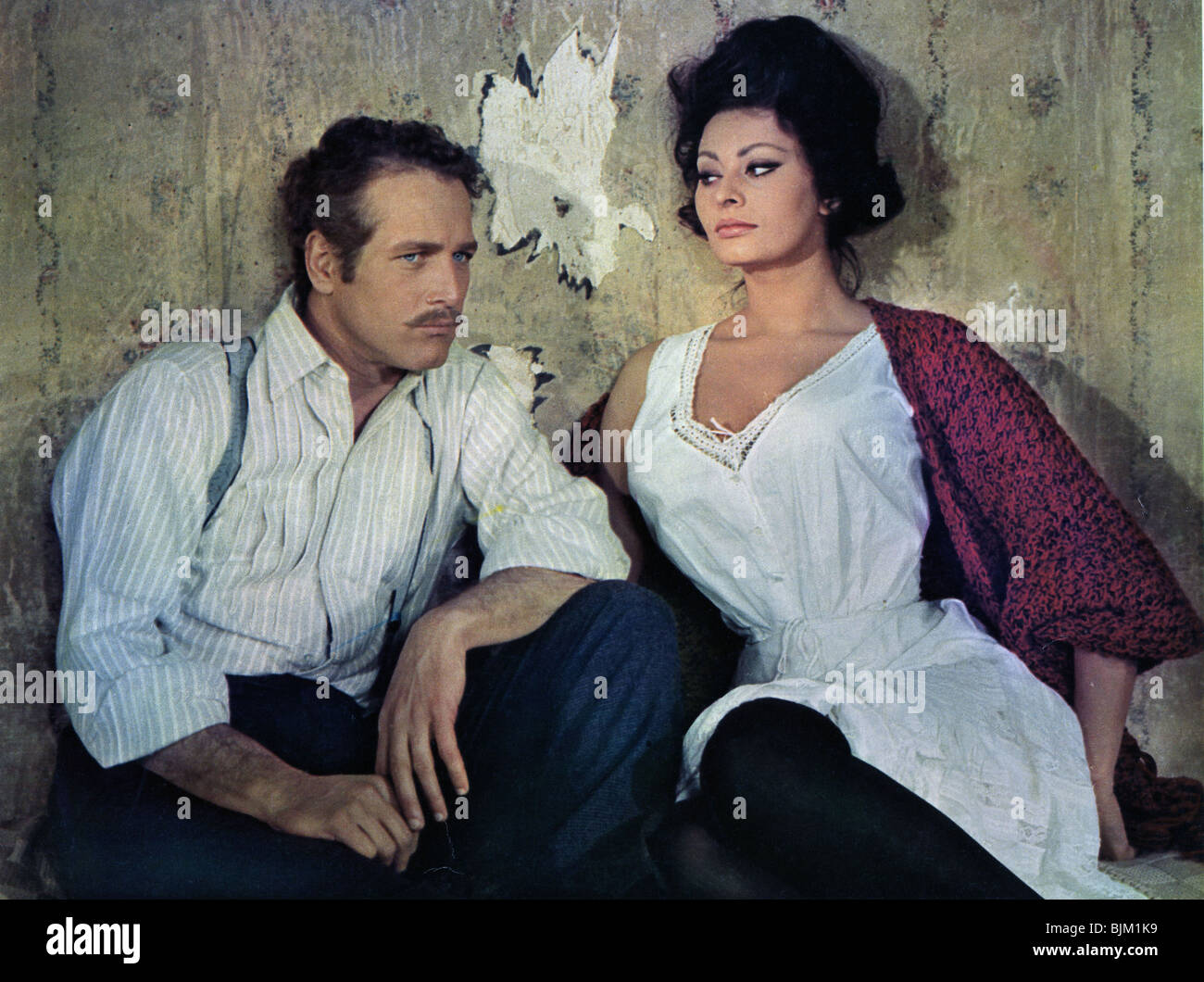 LADY L (1965) La Sophia Loren, Paul Newman Peter Ustinov (DIR) 008 Foto Stock